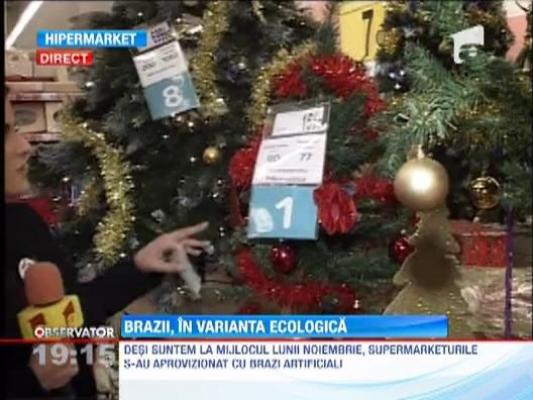 Bradul de Craciun, in varianta ecologica