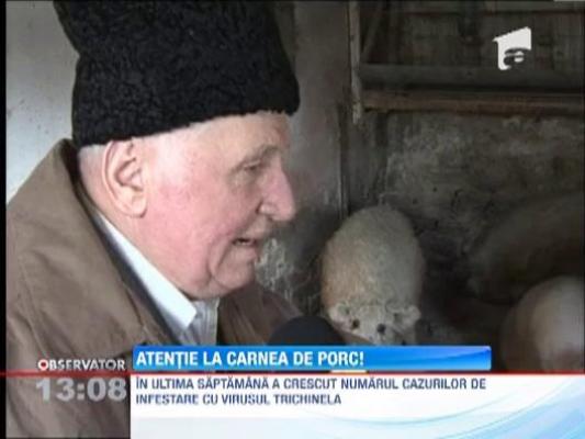 Carne de porc cu trichineloza la Cluj