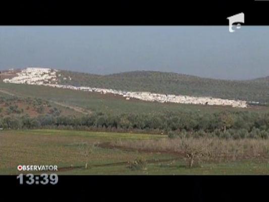 Aproximativ 140 de mii de refugiati sirieni risca sa moara inghetati in Turcia