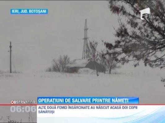 Operatiuni de salvare printre nameti