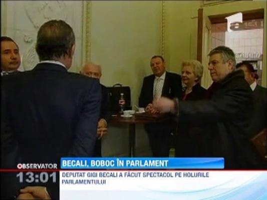 Gigi Becali, boboc in Parlament