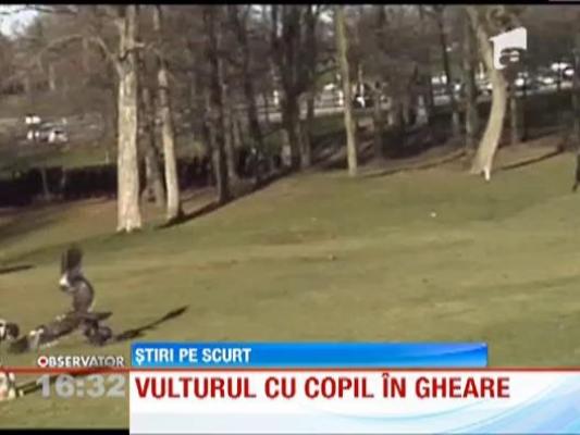 Un vultur a ridicat in gheara un copil dintr-un parc