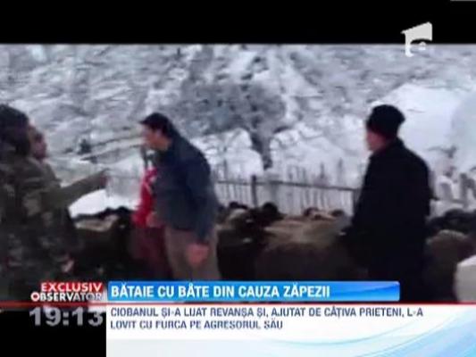 Zapada duce si la violenta! Bataie cu bate, furci si chiar o drujba, la Vaslui