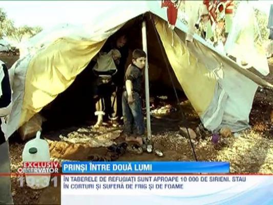 Prinsi intre doua lumi
