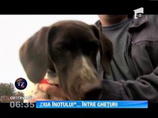 Ziua Nationala a Inotului