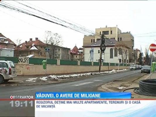 Averea lui Sergiu Nicolaescu