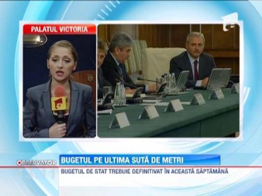 Bugetul de stat, decis dupa 20 ianuarie