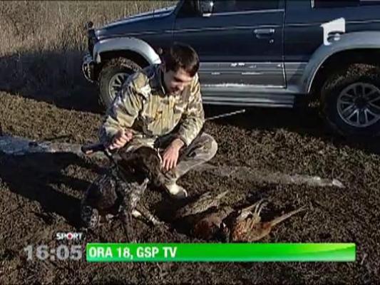 Valerica Gaman e vanator inrait