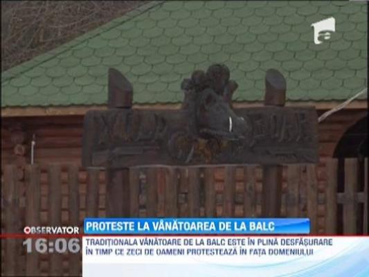 Proteste la vanatoarea de mistreti de la Balc