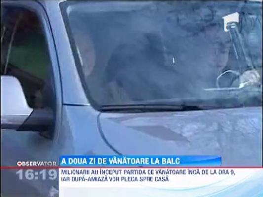 Vanatoarea de mistreti de la Balc s-a incheiat