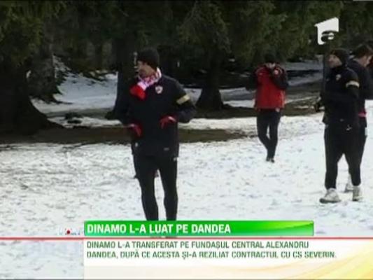 Jucatorul lui CS Severin, Alexandru Dandea, transferat la Dinamo