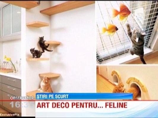 Mobila pentru feline