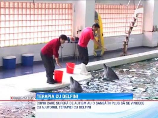 Terapia cu delfini, o speranta pentru copiii cu autism