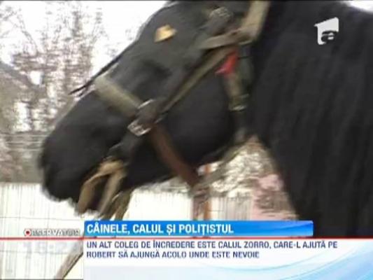 Calul, ciinele si politistu