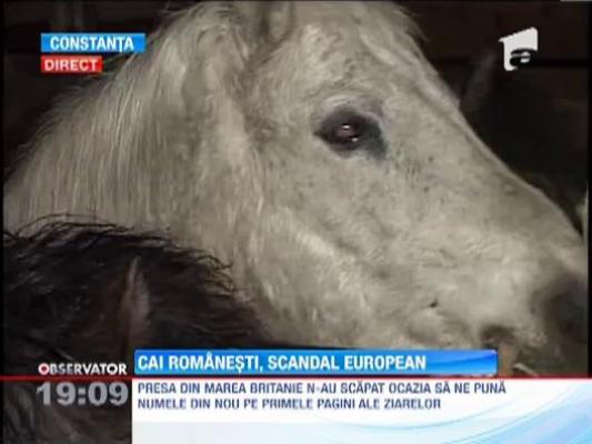 Lasagna cu carne de cal in loc de vita a provocat un scandal international