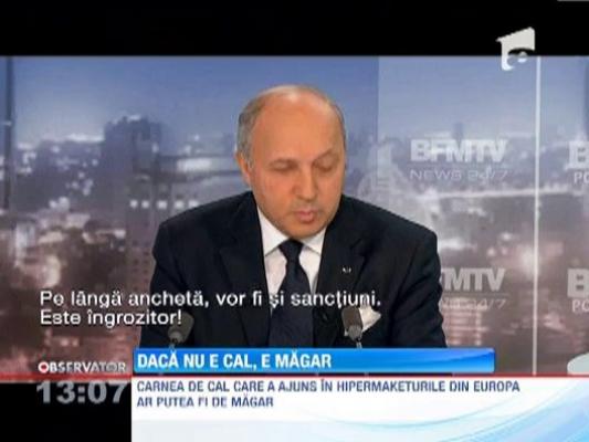 Carnea de cal care a ajuns pe rafturile supermarketurilor din Europa ar putea fi de magar