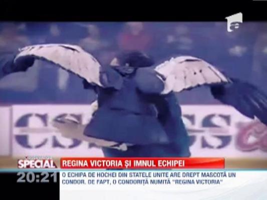 Condorul, o mascota cu atitudine
