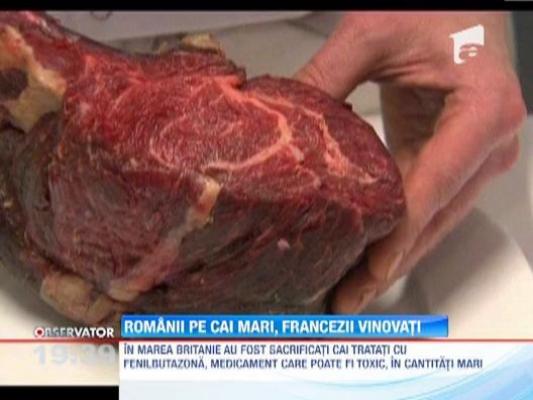 Toate probele incrimineaza importatorul francez, in scadalul carnii de cal