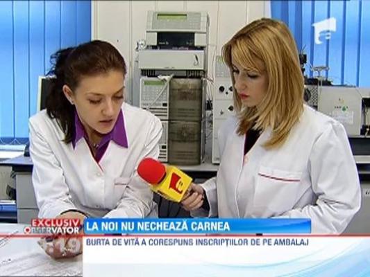 Teste de laborator pentru carnea tocata din Romania