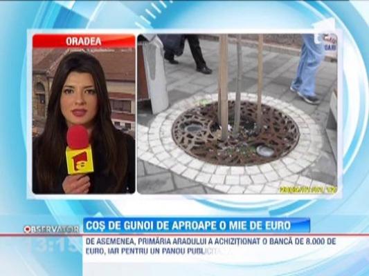 Primaria din Arad a platit 850 de euro pentru un cos de gunoi