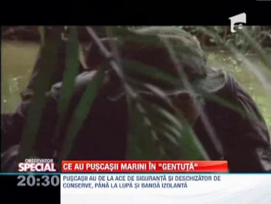 Ce au puscasii marini in gentuta