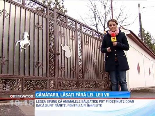 Garda de Mediu ar putea sa-i confiste lui Nutu animelele salbatice pe care le avea in curte