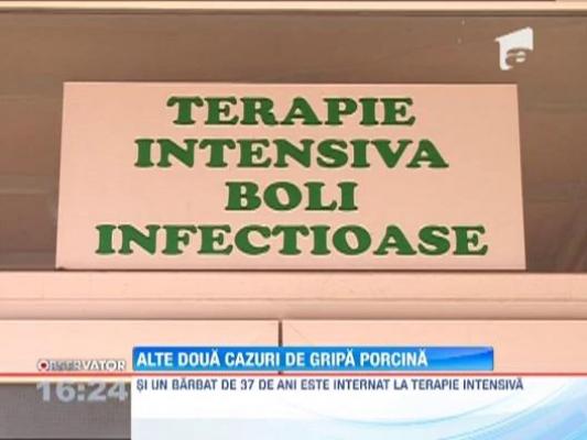 Alte doua cazuri de gripa porcina in Timisoara. O femeie si un barbat au fost internati in spital