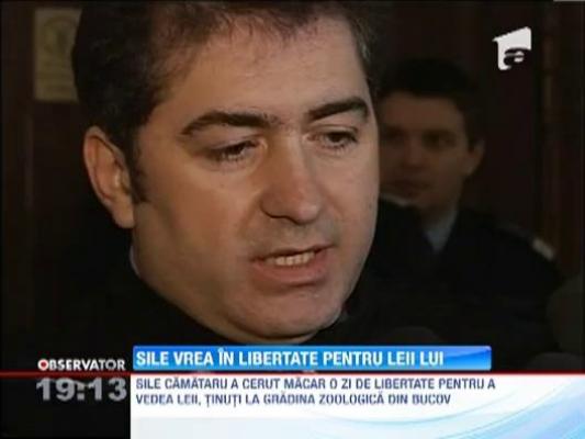 Sile Camataru cere o zi de libertate, pentru a-si... imbratisa leii!