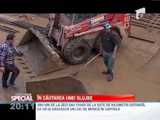 Observator Special: Somerii Romaniei, disperati, cauta sa lucreze cu ziua