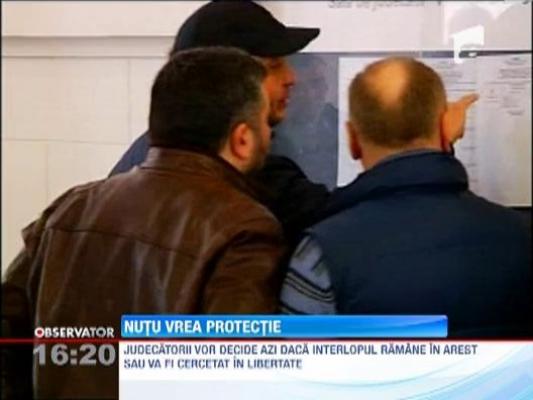 Nutu Camataru cere protecte, se teme de procurori!