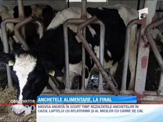 Ancheta laptelui contaminat cu aflatoxina, la final