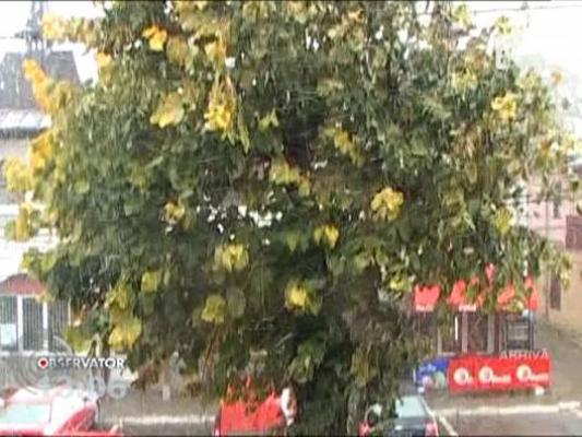 Weekend de cosmar in toata tara! ANM a emis o avetizare de inrautatire a vremii