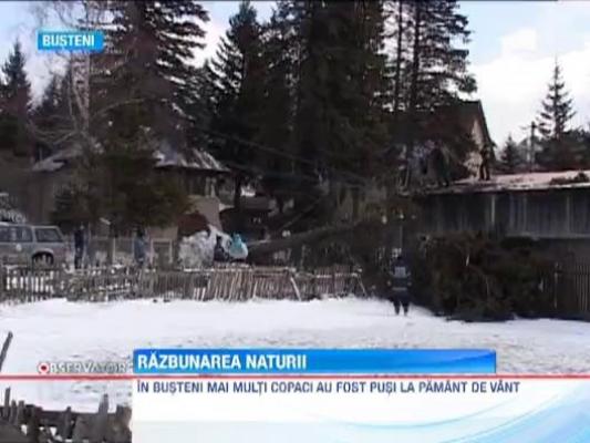 Vantul a facut prapad in tara! A atins 100 km/ora in Galati, unde zeci de sere au fost luate pe sus