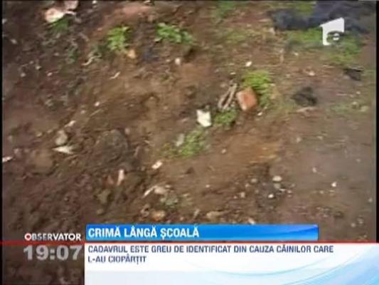 Anchetatorii cred ca femeia al carei cadavru a fost descoperit langa o scoala din Medgidia este victima unei crime