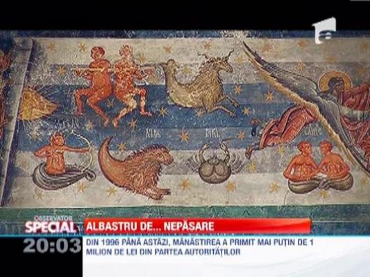 Observator Special: Albastrul de Voronet, aproape de disparitie
