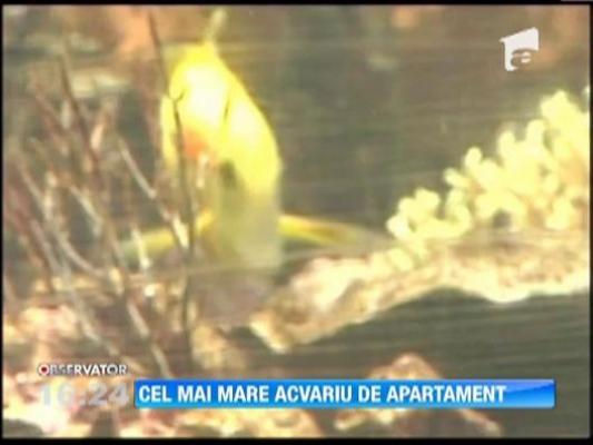 Un american este posesorul celui mai mare acvariu de apartament