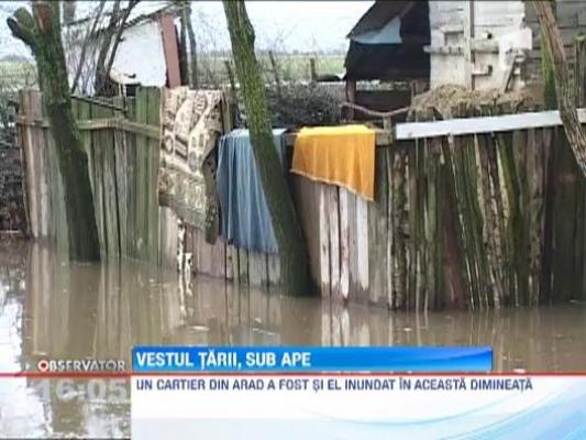 COD PORTOCALIU de inundatii pe mai multe rauri din judetele Bihor si Arad
