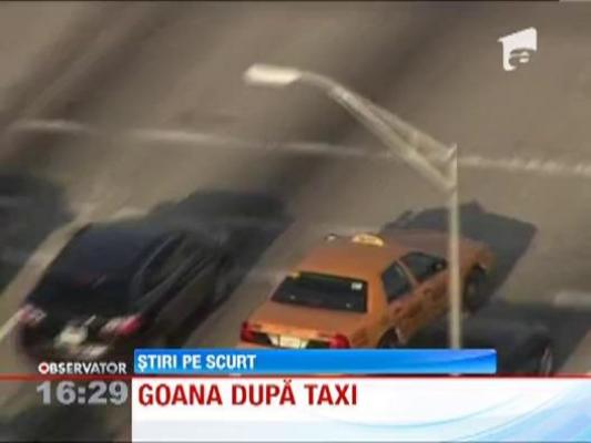 Urmarire ca-n filme, in Florida. Un barbat aflat la volanul unui taximetru a gonit cu politia pe urmele lui
