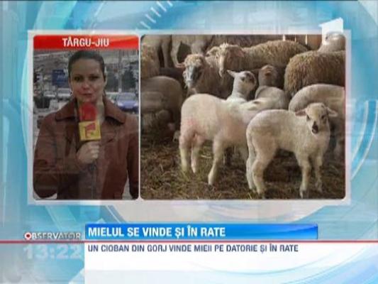 Un cioban din Gorj vinde miei pe datorie si face rezervari in caiet
