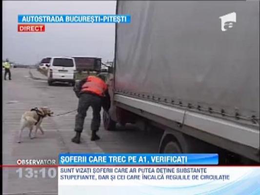 Razie de amploare pe autostrada Bucuresti - Pitesti