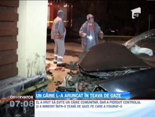 A vrut sa evite un caine si a intrat cu masina intr-o teava de gaze