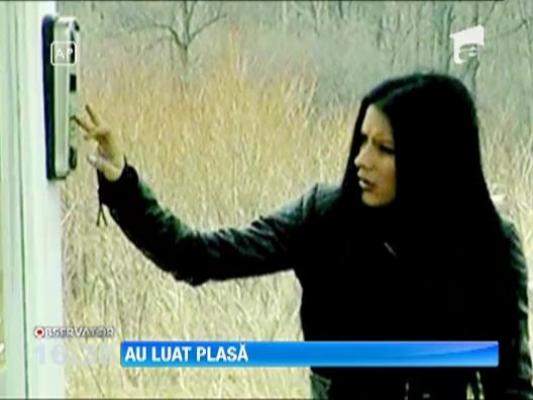 Editie incendiara Plasa de Stele! Daniela Crudu si Marian Dragulescu au cazut in capcana lui Dan Negru