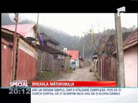 Observator Special: Maturoiul, produs de export