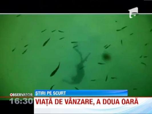 Insula in Panama, scoasa la vanzare pe internet