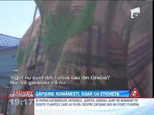 EXCLUSIV!!! Capsuni romanesti, doar cu eticheta