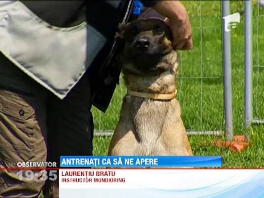 Mondioring, sportul campionilor