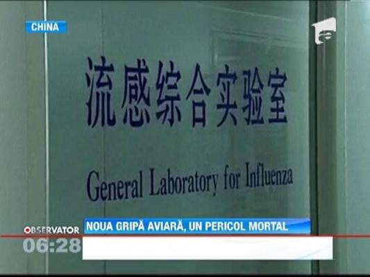 Noul virus de gripa aviara a ucis 22 de persoane in China