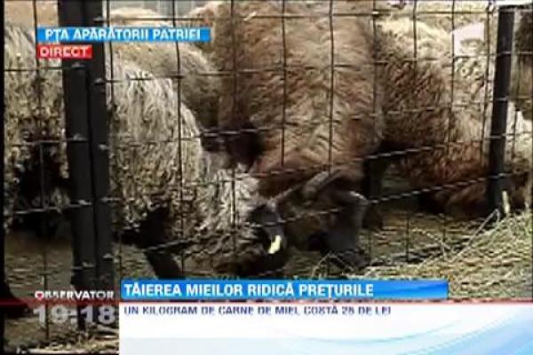 Carnea de miel e mai scumpa decat anul trecut