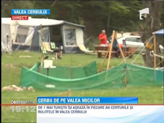 Valea Cerbului s-a transformat in valea micilor