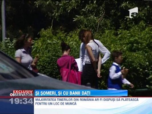EXCLUSIV!!! Tinerii someri, dispusi sa plateasca pentru un loc de munca